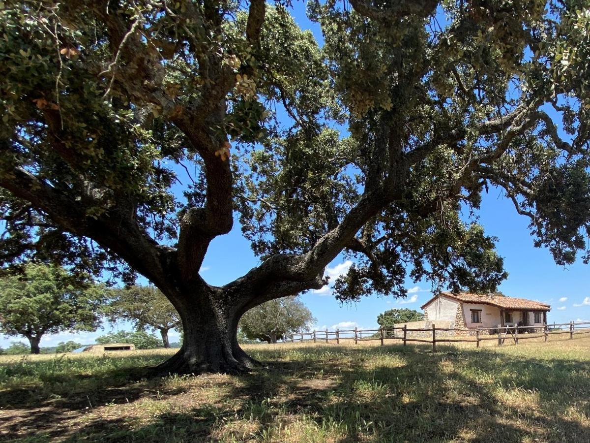 Eco-Lodge En La Reserva Privada Campanarios De Azaba - Proyecto De Conservacion Espeja Eksteriør bilde
