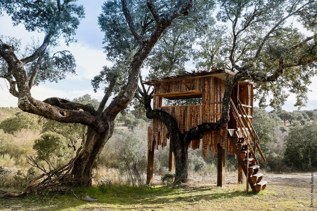 Eco-Lodge En La Reserva Privada Campanarios De Azaba - Proyecto De Conservacion Espeja Eksteriør bilde