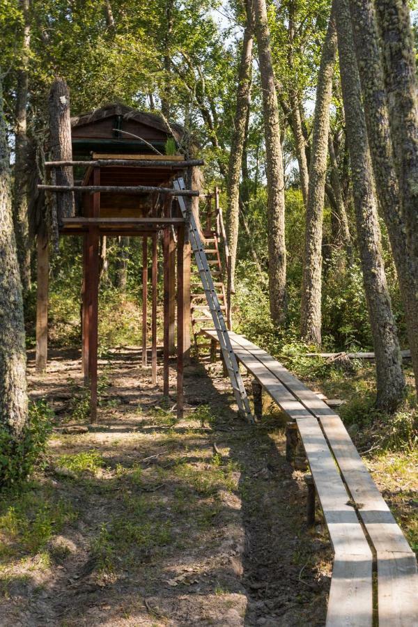 Eco-Lodge En La Reserva Privada Campanarios De Azaba - Proyecto De Conservacion Espeja Eksteriør bilde