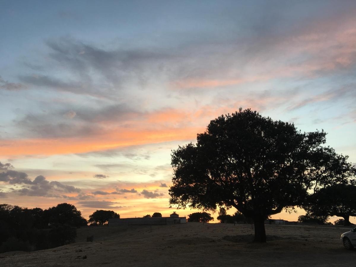 Eco-Lodge En La Reserva Privada Campanarios De Azaba - Proyecto De Conservacion Espeja Eksteriør bilde