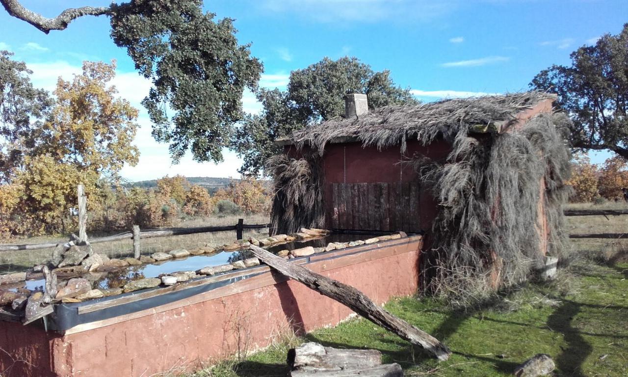 Eco-Lodge En La Reserva Privada Campanarios De Azaba - Proyecto De Conservacion Espeja Eksteriør bilde